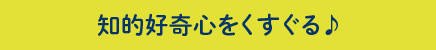 知的好奇心をくすぐる♪
