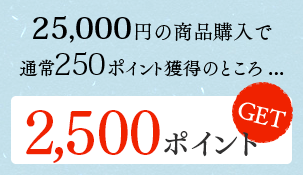 25,000円の商品購入で通常250ポイント獲得のところ...　2,500ポイントGET