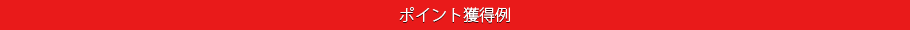 ポイント獲得例