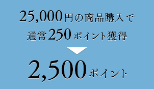 25,000円の商品購入で通常250ポイント獲得→2,500ポイント